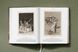 Goya. The Complete Prints 9783836581516 фото 13