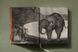 Goya. The Complete Prints 9783836581516 фото 5