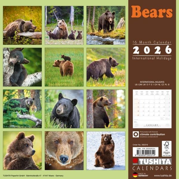 B&auml;ren Kalender 2026 9783959295314 фото