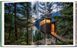 Modern Tree Houses 9783836596435 фото 6