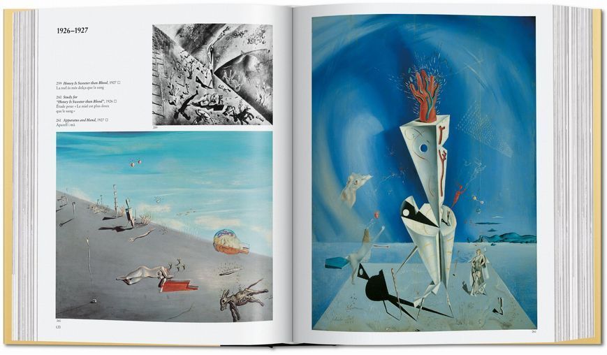 Dal&iacute;. The Paintings 9783836576246 фото