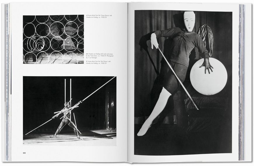 Bauhaus. Updated Edition 9783836572828 фото