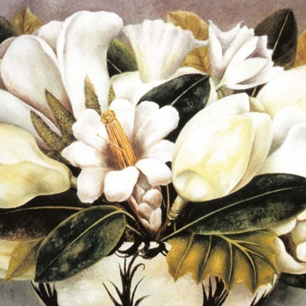 Frida Kahlo Kalender 2026 9783959295406 фото
