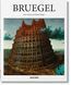 Bruegel 9783836553063 фото 1