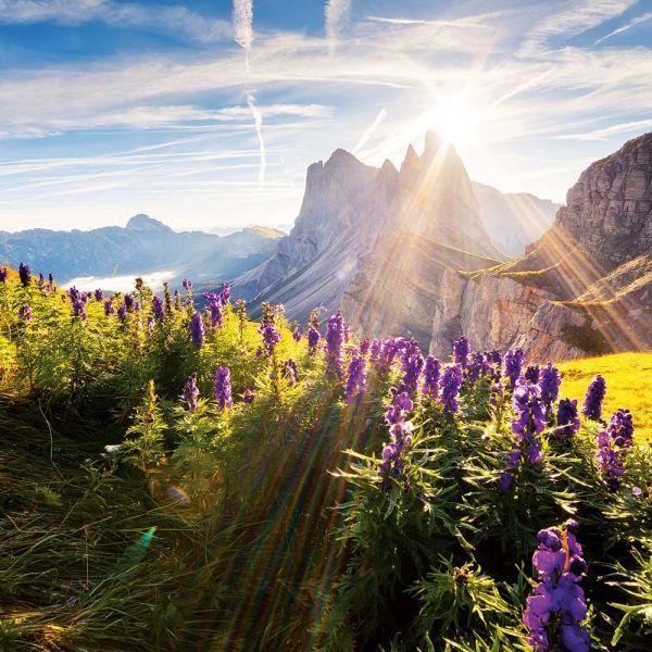 Alpen Kalender 2026 9783959296120 фото