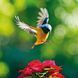 Birds Calender 2026 9783959295239 фото 9
