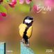 Birds Calender 2026 9783959295239 фото 1