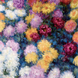Claude Monet Kalender 2026 9783959295451 фото 5