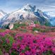 Blumen Kalender 2026 9783959296007 фото 2