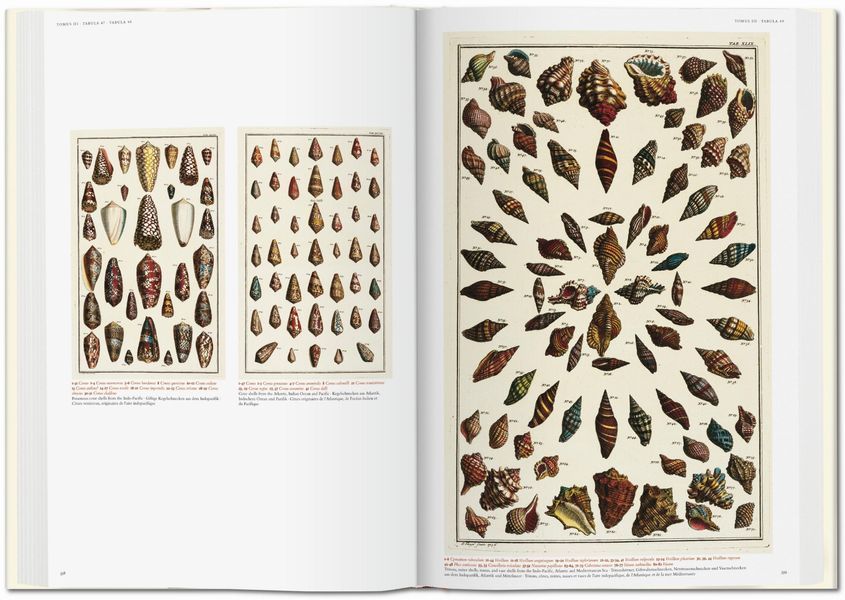 Seba. Cabinet of Natural Curiosities 9783836569064 фото