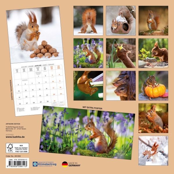 Eichh&ouml;rnchen Kalender 2026 9783959296113 фото