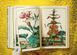 J. C. Volkamer. The Book of Citrus Fruits 9783836535250 фото 8