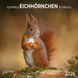Eichh&ouml;rnchen Kalender 2026 9783959296113 фото 1