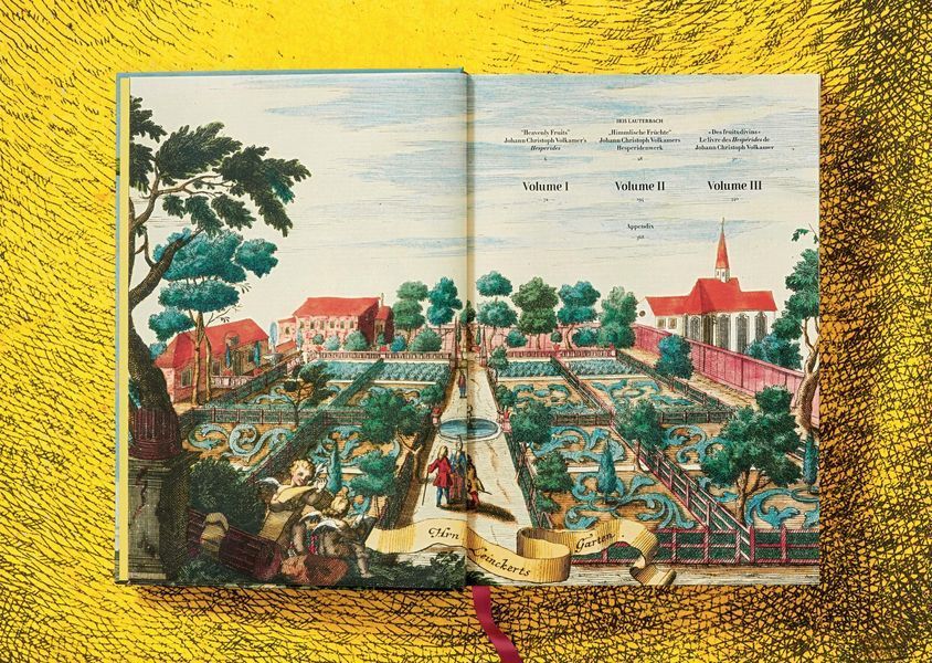 J. C. Volkamer. The Book of Citrus Fruits 9783836535250 фото