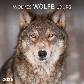 W&ouml;lfe Kalender 2026 9783959295932 фото