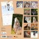 W&ouml;lfe Kalender 2026 9783959295932 фото 14
