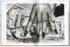 Helmut Newton 9783836594004 фото 11