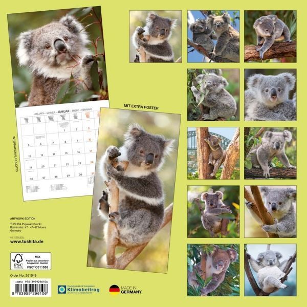 Koalas Kalender 2026 9783959296106 фото