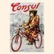 Cycling through History Calendar 2026 9783959295178 фото 9