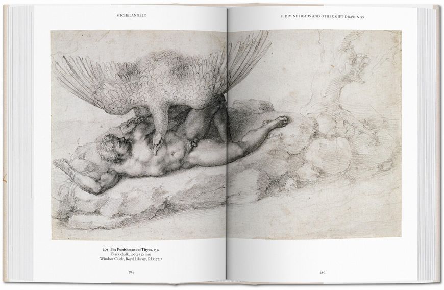 Michelangelo. The Graphic Work 9783836537193 фото