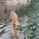Anders Zorn 9783959295789 фото 3