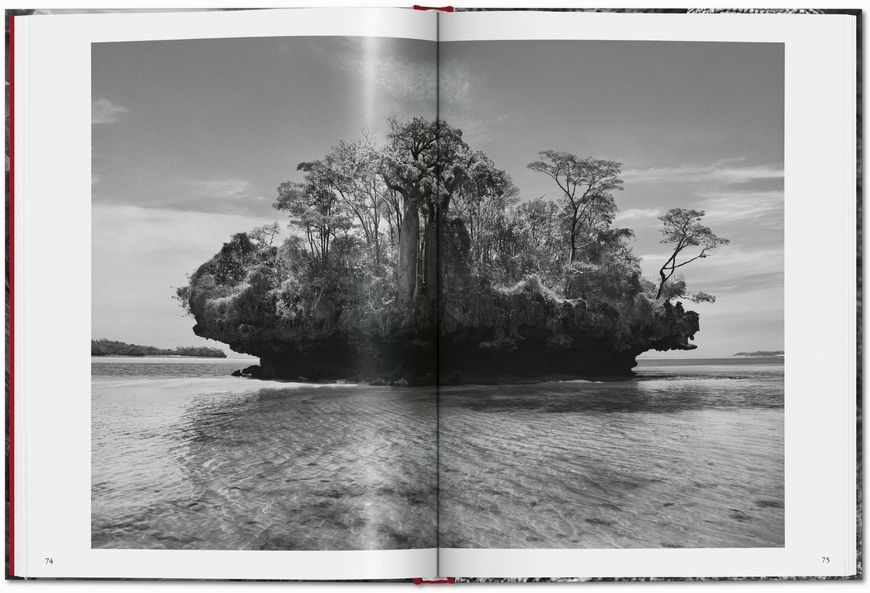 Sebasti&atilde;o Salgado. Genesis 9783836594011 фото