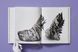 Shoes A-Z. The Collection of The Museum at FIT 9783836596244 фото 12