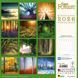 Deep Forest Calender 2026 9783959295260 фото 14