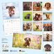Dackel Kalender 2026 9783959296052 фото 14